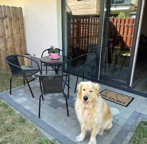 Appartement Butterfly *